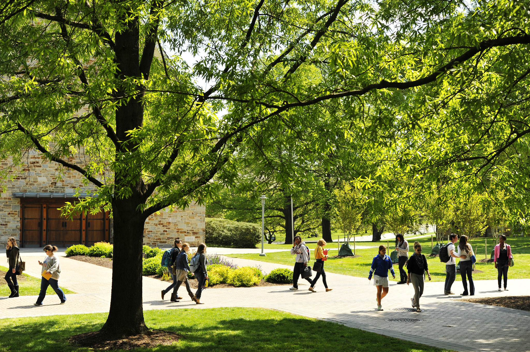 Students walk on Goucher's green campus